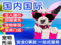 北海福成空运地址国际宠物托运 【国